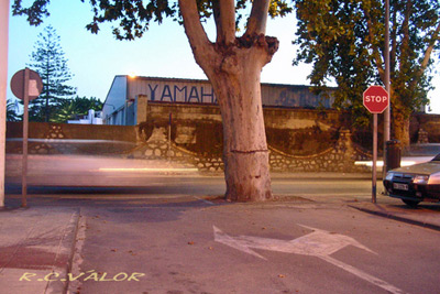 El STOP y el árbol